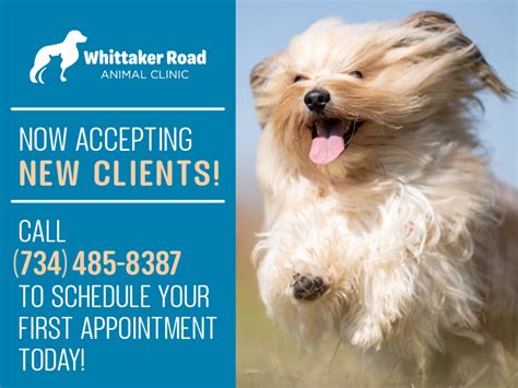 ypsilanti animal hospital|whittaker rd vet.